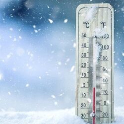 كأس أمم أفريقيا : مالي تفوز على جنوب أفريقيا بثنائية نظيفة