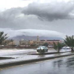 الدوري الإيطالي : فوز صعب ليوفنتوس على ساليرنيتانا