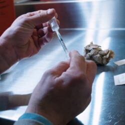 “المركز الوطني للأرصاد” : ضباب خفيف على محافظتي المهد ووادي الفرع