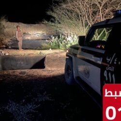 البرلمان العربي يدعو لتحرك فوري لوقف حرب الإبادة الجماعية ضد الفلسطينيين