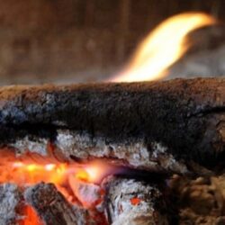 «الشؤون الإسلامية»: أكثر من 300 ألف مسلم جديد بمختلف مناطق المملكة