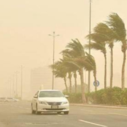 بوليفيا تعلن تأييدها لدعوى جنوب أفريقيا لمقاضاة إسرائيل على الإبادة الجماعية في غزة