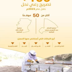 فريق سعودي ونرويجي يبدع في تصوير عيون زوار موسم الرياض لتقديمها بعمل فني