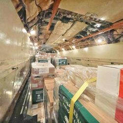 “الغطاء النباتي” : 600% زيادة في المساحات الخضراء بمنطقة مكة المكرمة