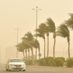 مهرجان العسل الثاني بغامد الزناد في الباحة يواصل فعالياته