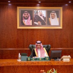 المملكة تتقدم 25 مرتبة عالمياً والأولى خليجياً في مؤشر الأداء الإحصائي