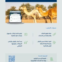 برعاية وزير الإعلام.. وزارة الإعلام تكرّم الفائزين بجائزة التميُّز الإعلامي 2023