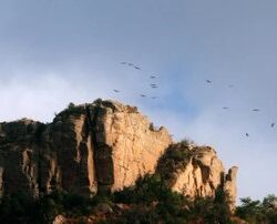 “المساحة الجيولوجية” تطلق نتائج مشاريع المسح الجيولوجي في مؤتمر التعدين الدولي الثالث