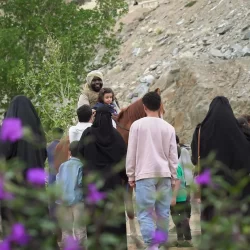 الزنجبيل يعالج البرد وقرحة المعدة ويخفض الوزن