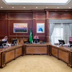 حرس الحدود بجازان يحبط تهريب 225 كيلوجرامًا من نبات القات المخدر