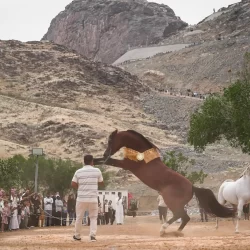 مركز الملك سلمان للإغاثة يواصل توزيع السلال غذائية للنازحين في مدينة خان يونس جنوب قطاع غزة