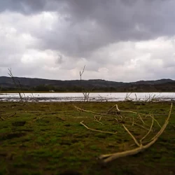 العروض الآسيوية تشد أنظار زوار بوليفارد وورلد