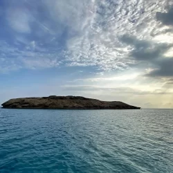 أنغولا أول المتأهلين إلى ربع نهائي كأس الأمم الأفريقية بعد فوزها على ناميبيا بثلاثية