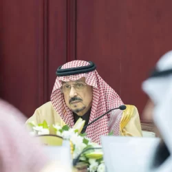 الأوصاف والوزن والقياس.. ميزات رئيسة في جمال الصقور بالمملكة