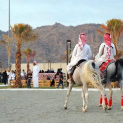 وصول الطائرة الإغاثية السعودية الـ 38 لإغاثة الشعب الفلسطيني في قطاع غزة