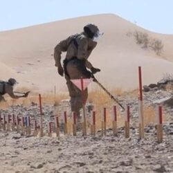 مهرجان الكُتّاب والقُراء يصطحب الأطفال في رحلة معرفية إبداعية متكاملة