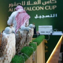 الهيئة العامة للعقار: حصر دفع الإيجار للعقود السكنية من خلال القنوات الرقمية بدءًا من 15 يناير تدريجيًّا