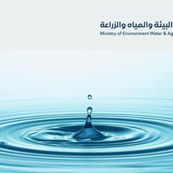 “الألكسو” تطلق منتدى الأعمال والشراكات بتونس الأحد القادم