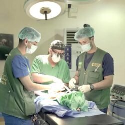 نائب أمير مكة يصل محافظة العرضيات .. ويستقبل الأهالي ويستمع لمطالبهم