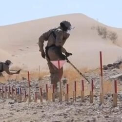 تقنية جدة تستضيف دورة حكام التايكوندو للسيدات