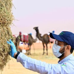 الهيئة العامة للعقار: حصر دفع الإيجار للعقود السكنية من خلال القنوات الرقمية بدءًا من 15 يناير تدريجيًّا