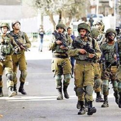 “الغطاء النباتي”: 360% زيادة في المساحات الخضراء بمنطقة المدينة المنورة