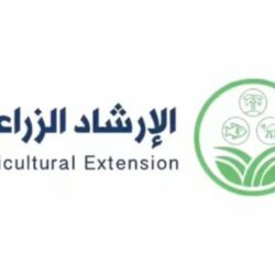 أمانة العاصمة المقدسة تُطلق حملة لإزالة الملصقات العشوائية