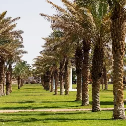 معرض برنامج “آمــن” يختتم فعاليات محطته الرابعة بمنطقة الباحة