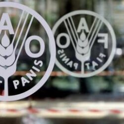 مكافحة المخدرات تقبض على شخص بمحافظة الطائف لترويجه مواد مخدرة