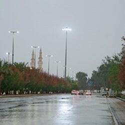 “التدريب التقني” يمنح (52) رخصة لمنشآت تدريب أهلية جديدة