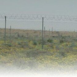 (اعتدال) و (تليجرام) تتصدى خلال عام 2023 لـ 3 تنظيمات إرهابية بإزالة 43 مليون محتوى متطرف