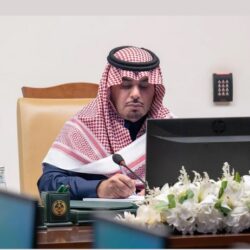 سفارة المملكة في الأرجنتين تقيم فعالية كات ووك 2024 احتفاءً بالنمر العربي