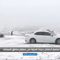 حقيقة تخلص مشروب “الديتوكس” من السموم في الجسم؟ .. مختص في التغذية يكشف! – فيديو