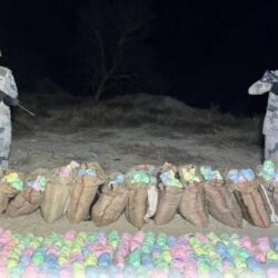 محمية الملك سلمان بن عبدالعزيز الملكية تضبطُ 9 مركبات و 25 شخص مخالف