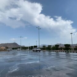 بدعوةٍ من المملكة.. عقد اجتماع تشاوري في الرياض لبحث تطورات الحرب الإسرائيلية على قطاع غزة