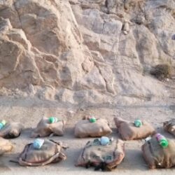 مركز الملك سلمان للإغاثة يُدشّن المرحلة الثانية من مشروع الدعم الأمن الغذائي بولاية سنار في السودان