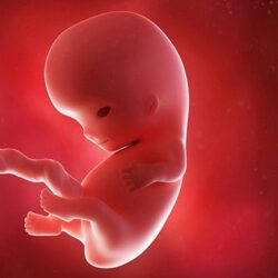 “النمر” يوضح خطورة التوتر الشديد: قد يسبب جلطة