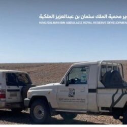 حرس الحدود بعسير يحبط تهريب (292) كيلوجرامًا من نبات القات المخدر