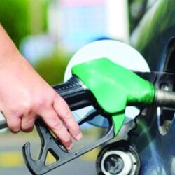 الرئيس المصري يهنئ سمو ولي العهد بمناسبة ذكرى يوم التأسيس