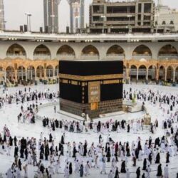 “الغذاء والدواء”: ضبط وحجز 2800 كلجم من المعجنات المجمدة مجهولة المصدر في جدة