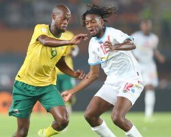 استشاري يوضح أكثر أنواع الأجبان الصحية لصحة الإنسان