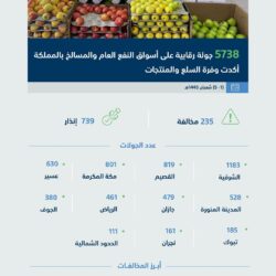 رئيس مجلس الشورى يستقبل رئيس مجلس الدوما بروسيا الاتحادية ويعقدان جلسة مباحثات مشتركة