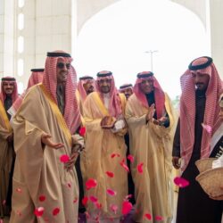 “الغطاء النباتي” ينظم حملة تطوعية لزراعة 30 ألف شتلة مانجروف في 3 مناطق