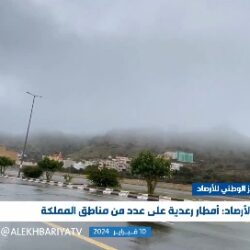 فيديو: 90% يعانون من مرض عسر الهضم في المملكة