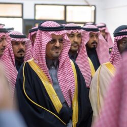 وزير الصناعة يعلن عن إطلاق الأكاديمية الوطنية للمركبات والسيارات وتأسيس جمعية مصنعي السيارات