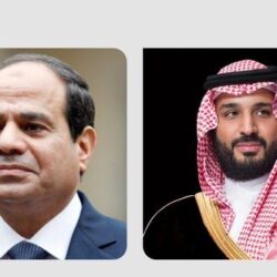 ضبط مواطن بعسير لترويجه (84) كيلوجرامًا من نبات القات المخدر