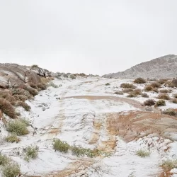 منظمة التعاون الإسلامي تدين عمليات هدم المنازل المتواصلة التي تقوم بها قوات الاحتلال الإسرائيلي في القدس المحتلة