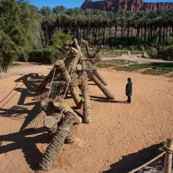 حرس الحدود بعسير يحبط تهريب (260) كيلوجرامًا من نبات القات المخدر