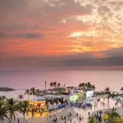 خادم الحرمين الشريفين وولي العهد يهنئان أمير قطر بمناسبة نجاح تنظيم كأس آسيا وفوز المنتخب القطري بكأس البطولة