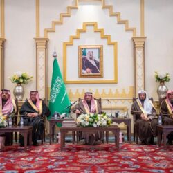 وادي الدواسر تزرع 6 آلاف هكتار بطاطس تنتج 480 ألف طن